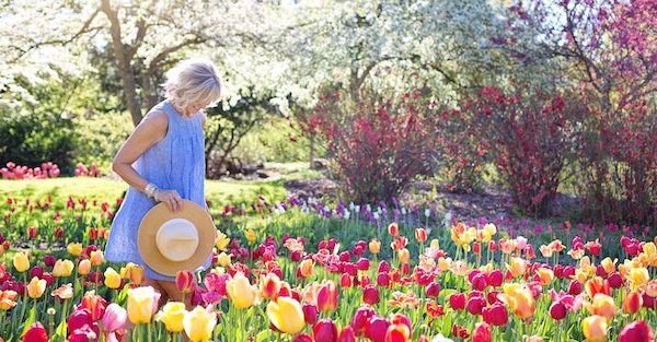 A grey haired woman walks through a garden full of pink and yellow flowers