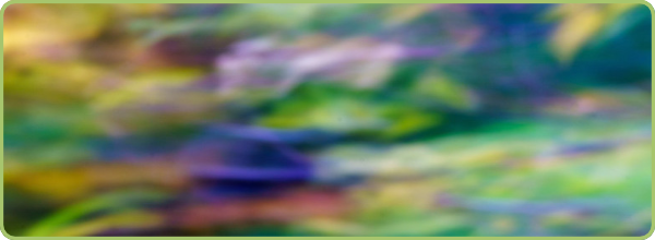 Image link for Creative Work page showing a blur of colours blending into each other