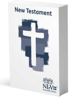 Bible cover: NIrV accessible New Testament