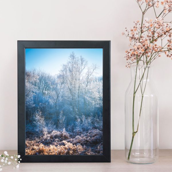 Frosting print framed on shelf with soft pink flowers in vase