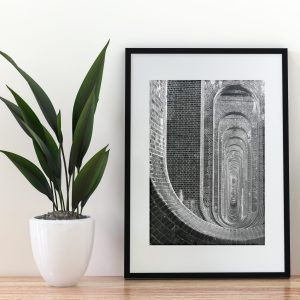 Viaducting print in frame on shelf with tall plant