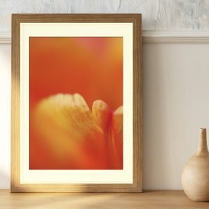 Vibrancy print in frame on shelf with small vase