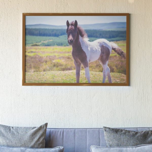 Wild & Free print framed on a beige wall with a sofa in front