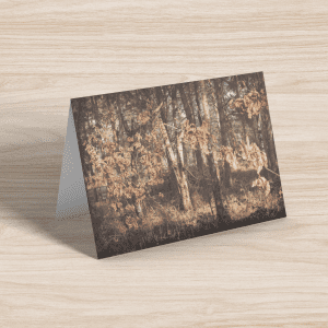 Autumn woodland Greeting Card