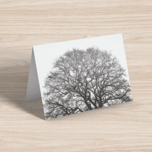 Bare tree greeting card